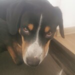 Photo de profil Alex850