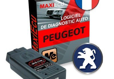 Location Logiciel diagnostic obdii pour peugeot à Fagnières