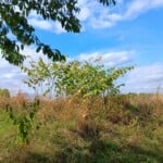 Momomano propose de la location d'outils entre particulier sur Bondy