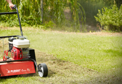 Location Scarificateur thermique avec bac de récupération à La Motte-Servolex